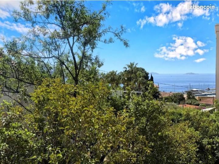 Villa Bandol Proche Du Port Et Des Plages Екстер'єр фото